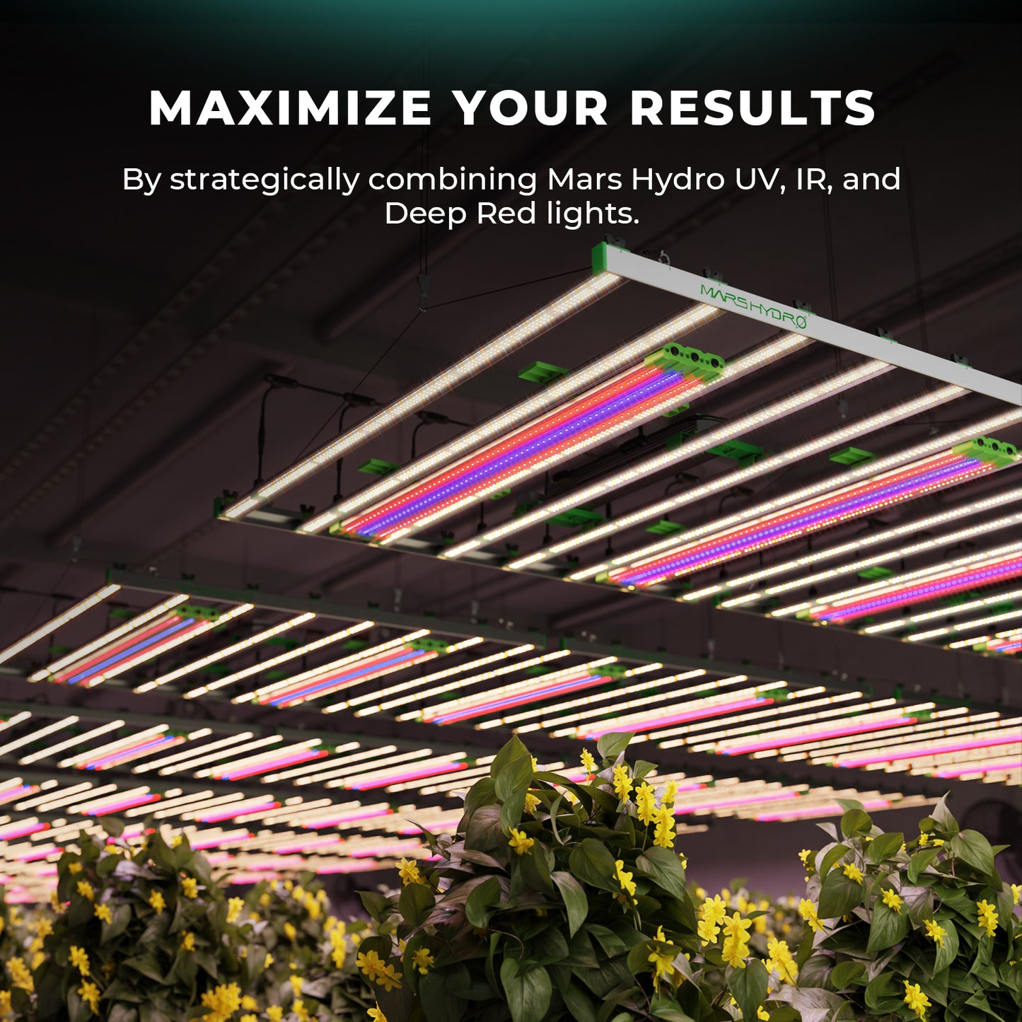 Barres lumineuses de culture LED Mars Hydro Adlite IR30 pour supplémentation IR