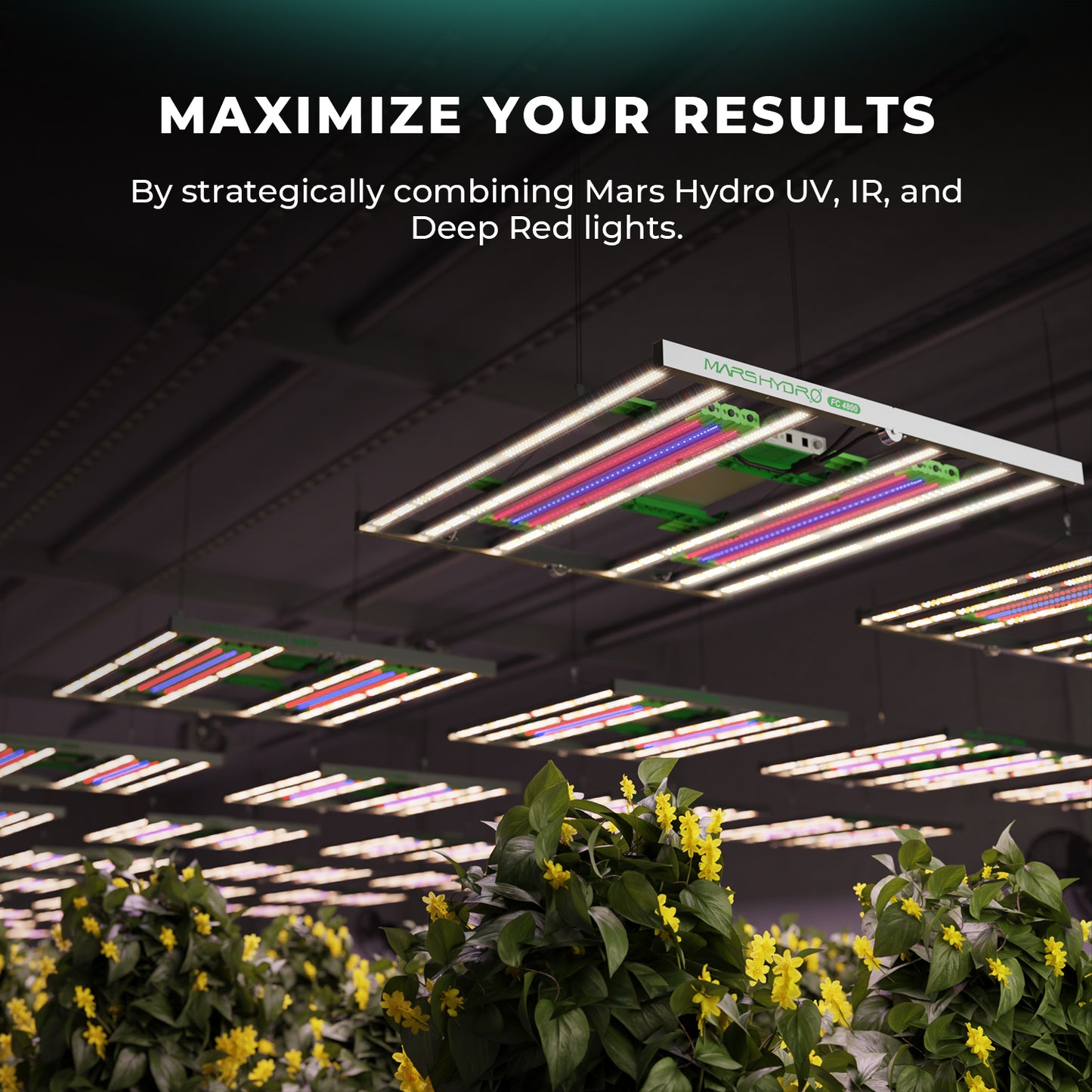 Mars Hydro Adlite UV30 LED Grow Light Bars for UV Supplementation