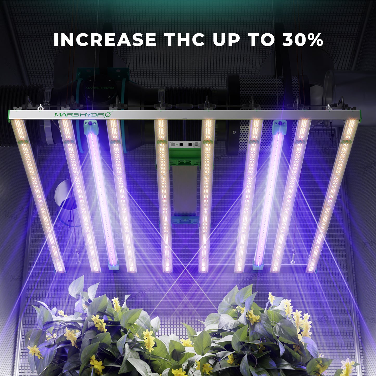 Mars Hydro Adlite UV55 LED Grow Light Bars for UV Supplementation