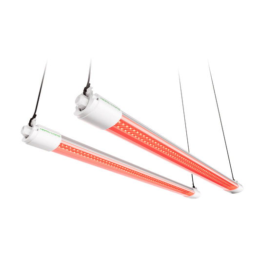 Mars Hydro VG40 LED rouge élèvent la lumière supplémentaire 650-665nm spectre étendu