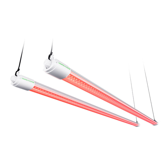 Mars Hydro VG80 Rotes LED-Wachstumslicht, ergänzendes 650–665 nm erweitertes Spektrum