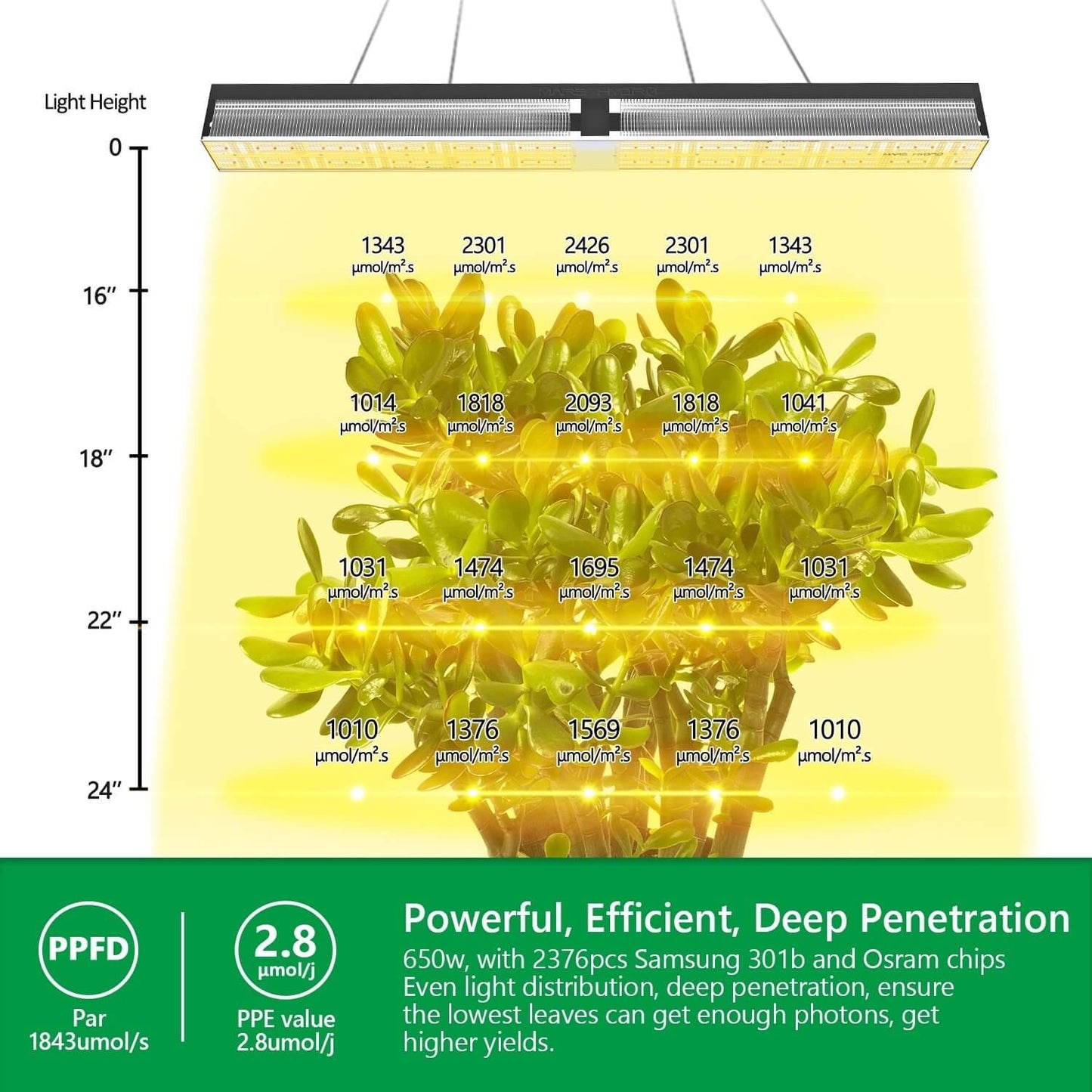 Mars Hydro SP 6500: A 650W Full Spectrum LED Grow Light.